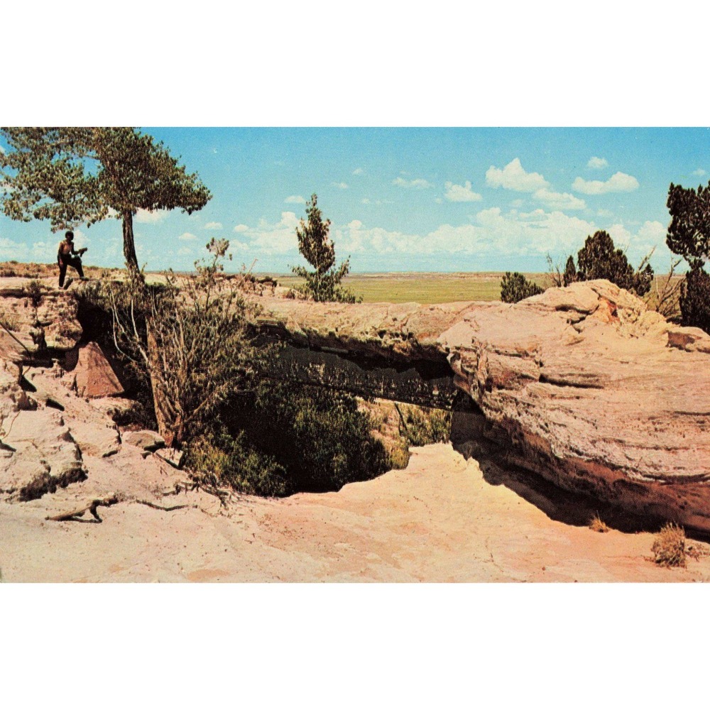 Vintage Agate Bridge Petrified Forest National Monument Arizona Postcard Petley - Picture 1 of 2